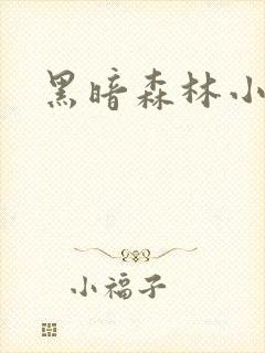 黑暗森林小说