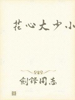 花心大少小说封面