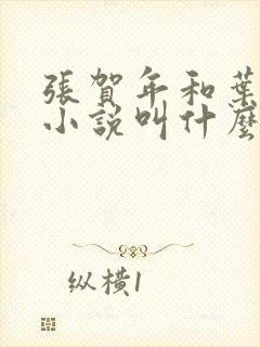 张贺年和叶繁姿小说叫什么名字