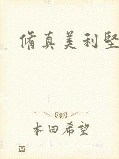 修真美利坚封面