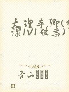 大理寺.卿(双洁1V1破案)封面