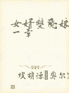 女婿双飞娘俩第一章