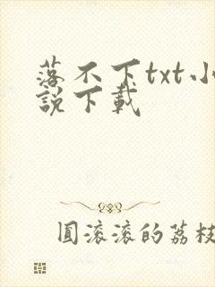 落不下txt小说下载