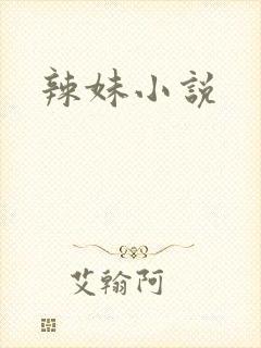 辣妹小说