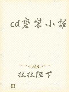 cd变装小说