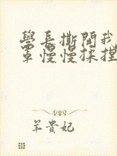 学长撕开我的乳罩慢慢揉捏小说封面