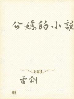 公媳的小说封面