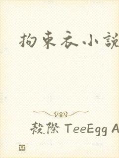 拘束衣小说封面