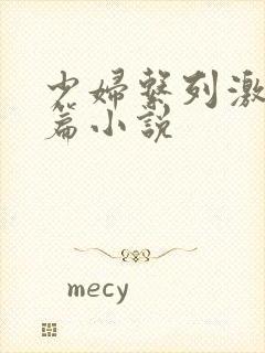 少妇系列激情短篇小说