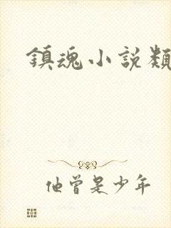 镇魂小说类型封面