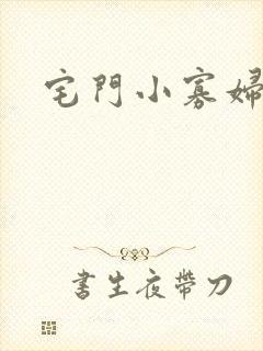 宅门小寡妇