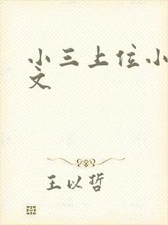 小三上位小说全文封面