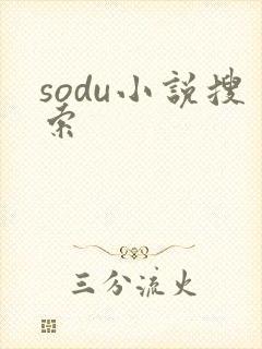 sodu小说搜索