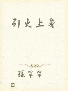 引火上身封面