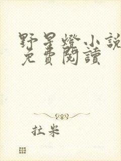 野星灯小说全文免费阅读