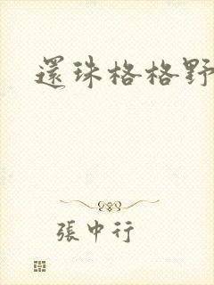 还珠格格野传封面