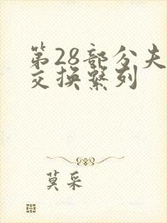 第28部分夫妇交换系列封面