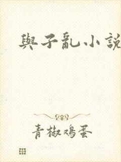 与子乱小说