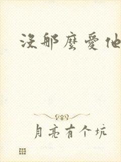 没那么爱他封面