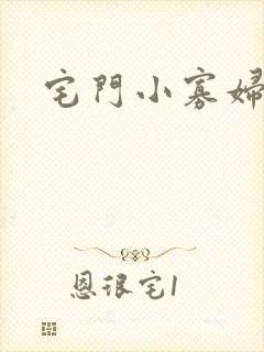 宅门小寡妇