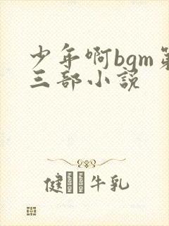 少年啊bgm第三部小说