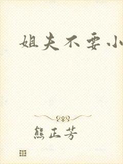 姐夫不要小说