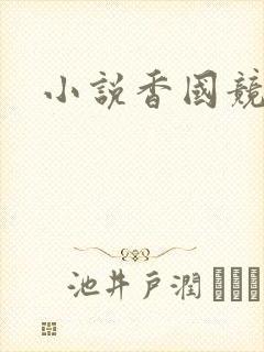 小说香国竞艳封面