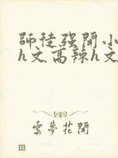 师徒强开小嫩苞h文高辣h文封面