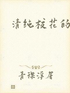 清纯校花的被