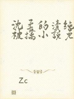 沈柔的清纯校花被擒小说免费阅读