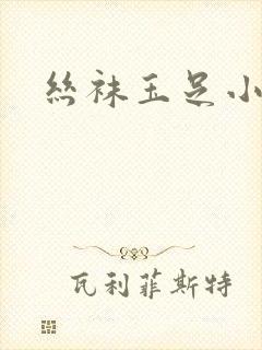 丝袜玉足小说封面