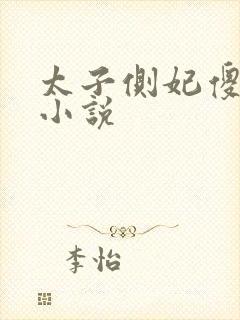 太子侧妃傻乎乎小说