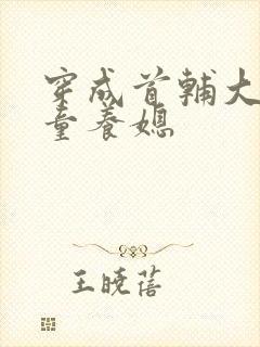 穿成首辅大人的童养媳