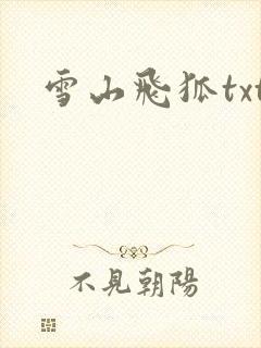雪山飞狐txt