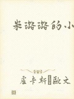 米璐璐的小说