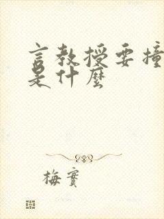 言教授要撞坏了是什么