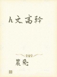 h文高干封面