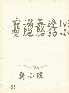 宠溺无边1v3双胞胎的小说