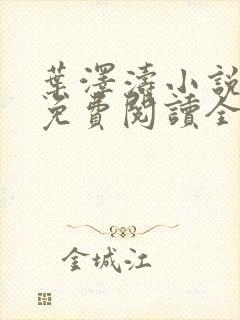 叶泽涛小说全文免费阅读全文