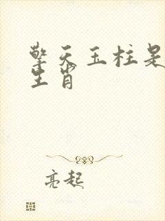 擎天玉柱是什么生肖