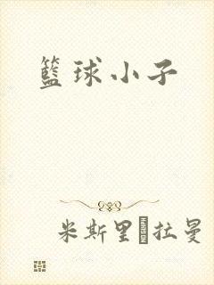 篮球小子