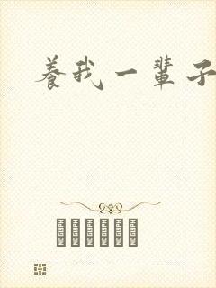 养我一辈子封面