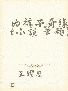 内裤子奇缘txt小说 笔趣阁