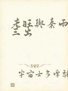 老旺与秦雨三进三出