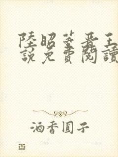 陆昭菱晋王的小说免费阅读