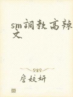 sm调教高辣h文