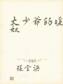 大少爷的暖床小奴