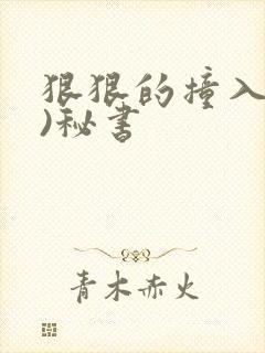 狠狠的撞入(h)秘书