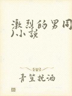 激烈的男同(h)小说