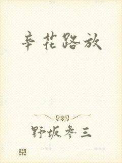 辛花路放